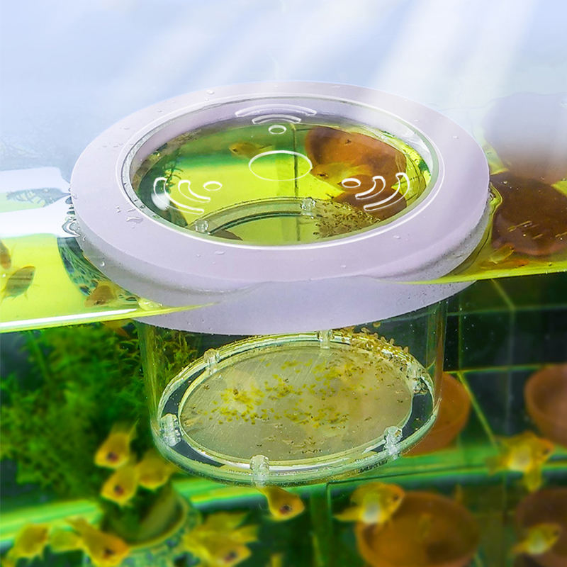 Aquarium Fish Jar - Podwieszane pudełko izolacyjne do hodowli akwariów