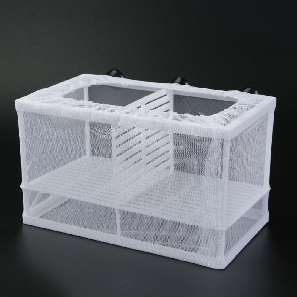 Aquarium Fish Jar - Pudełko do hodowli ryb akwariowych z