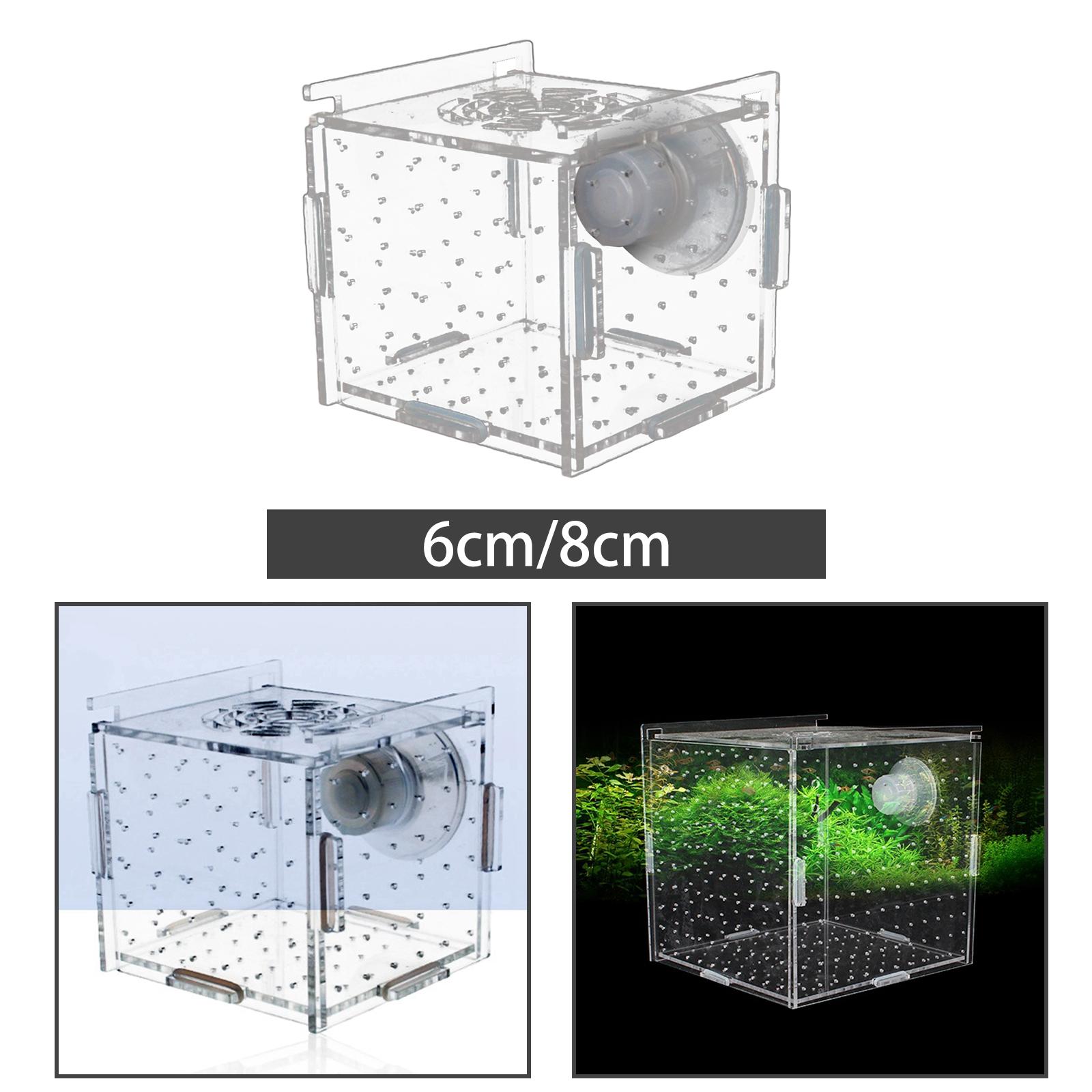 Aquarium Fish Jar - Pudełko do hodowli ryb przezroczysta trwała