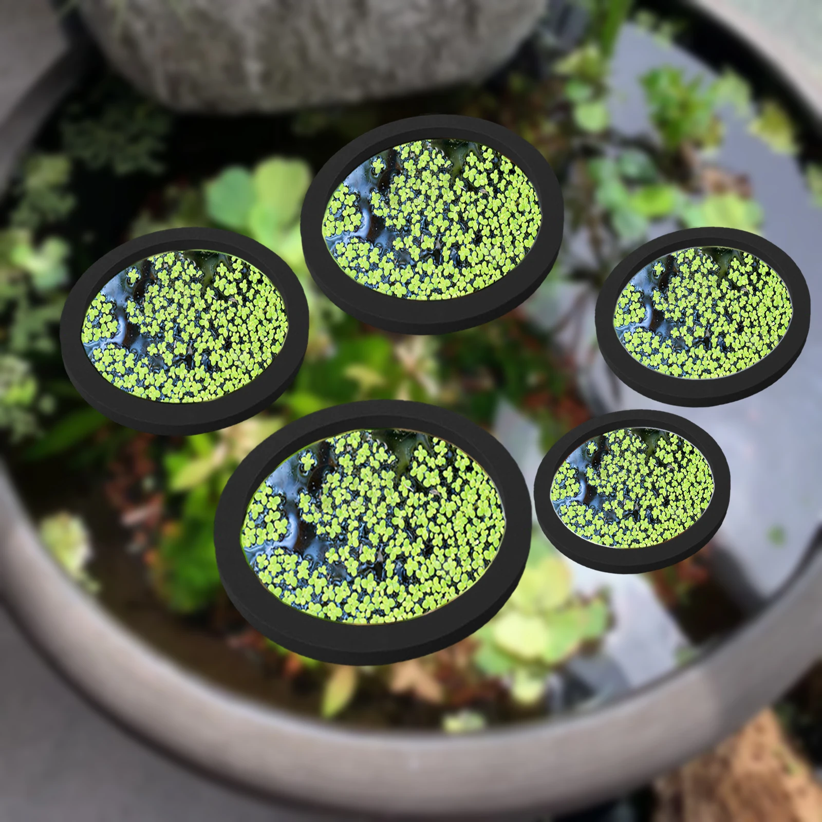 Aquarium Fish Marine - 5Pcs EVA Pierścień do karmienia ryb