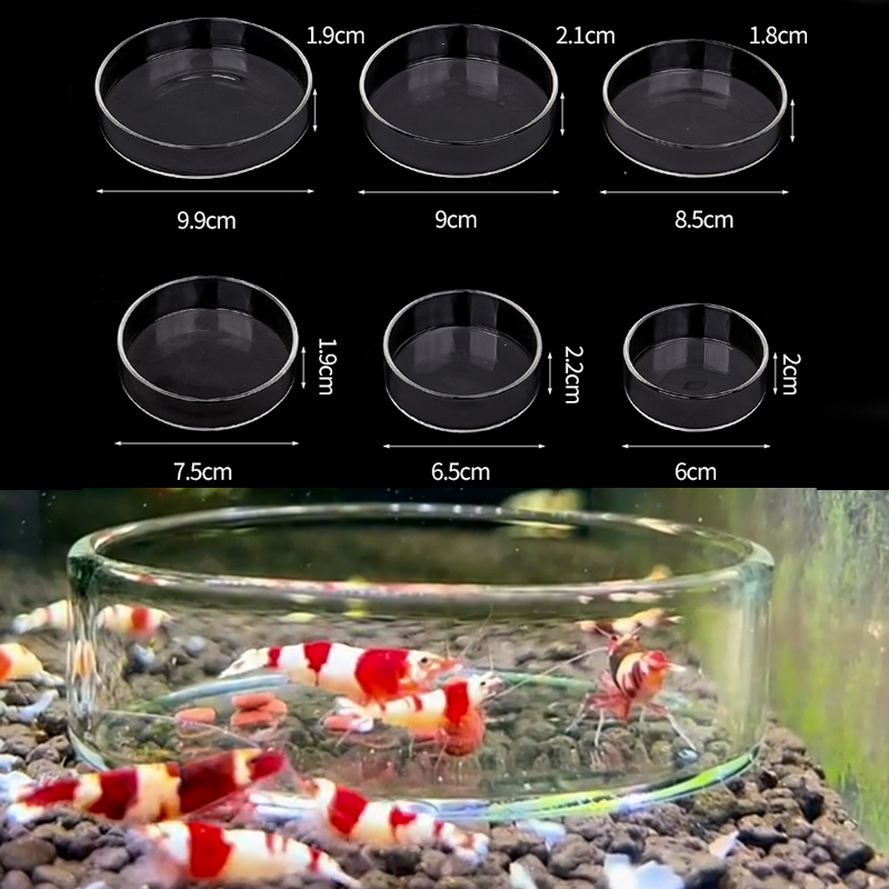 Aquarium Fish Jar - Miseczka do karmienia krewetek, przezroczysta szklana