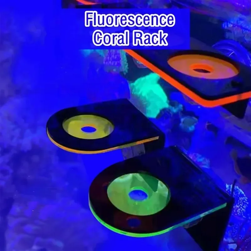 Aquarium Fish Marine - Uchwyty akrylowe do akwariów, fluorescencyjne wsporniki