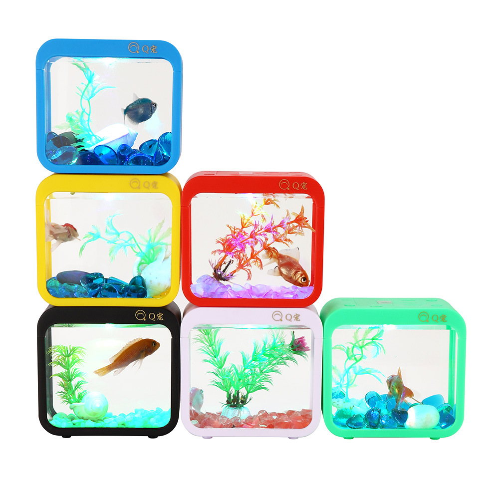 Kolorowe kreatywne pudełko Bet – Aquarium Fish Jar recenzja i cena