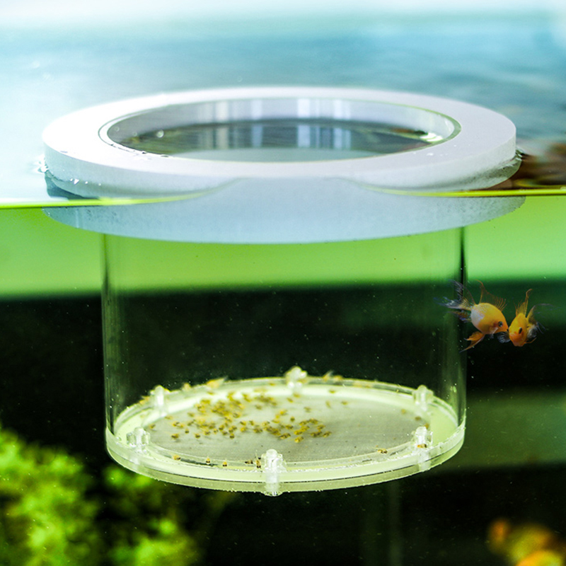 Podwieszane pudełko izolacyjne – Aquarium Fish Jar recenzja i cena