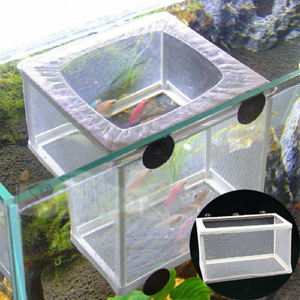 Pudełko do hodowli ryb akwario – Aquarium Fish Jar recenzja i cena