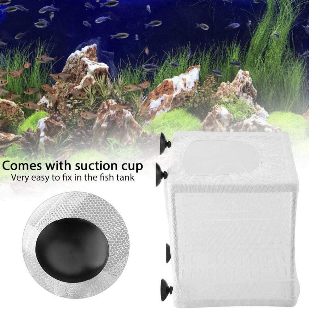 Pudełko do hodowli ryb akwario – Aquarium Fish Jar recenzja i cena