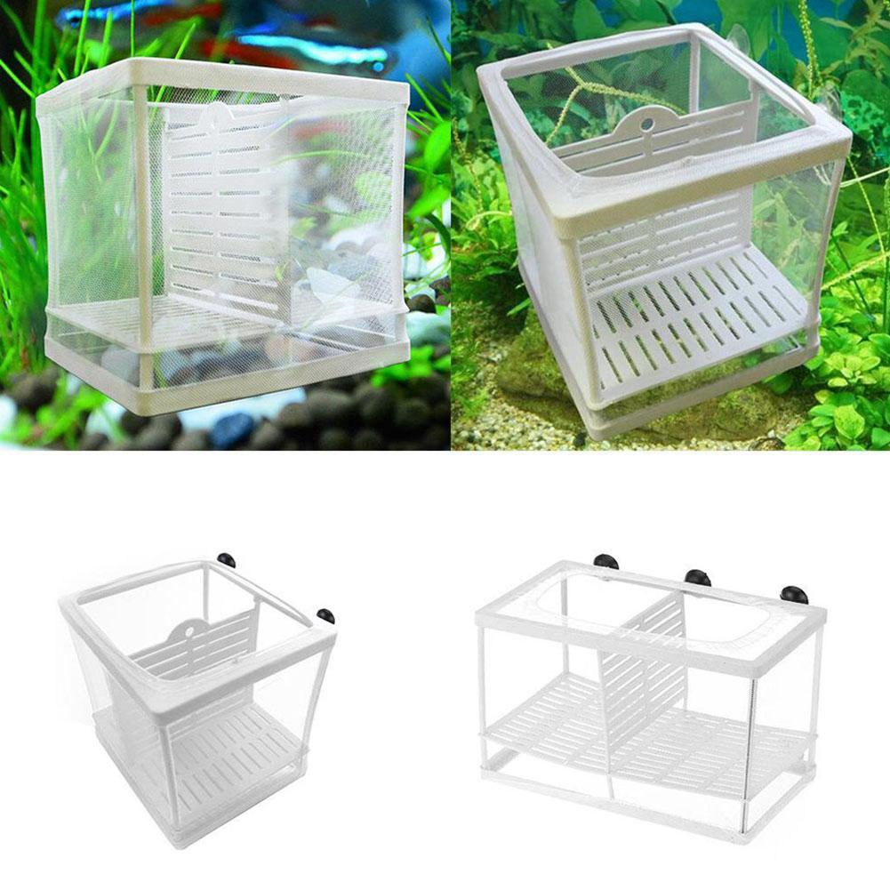 Pudełko do hodowli ryb akwario – Aquarium Fish Jar recenzja i cena