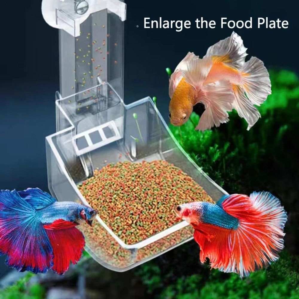 Nowa Przezroczysta Rurka Podaj – Aquarium Fish Jar recenzja i cena