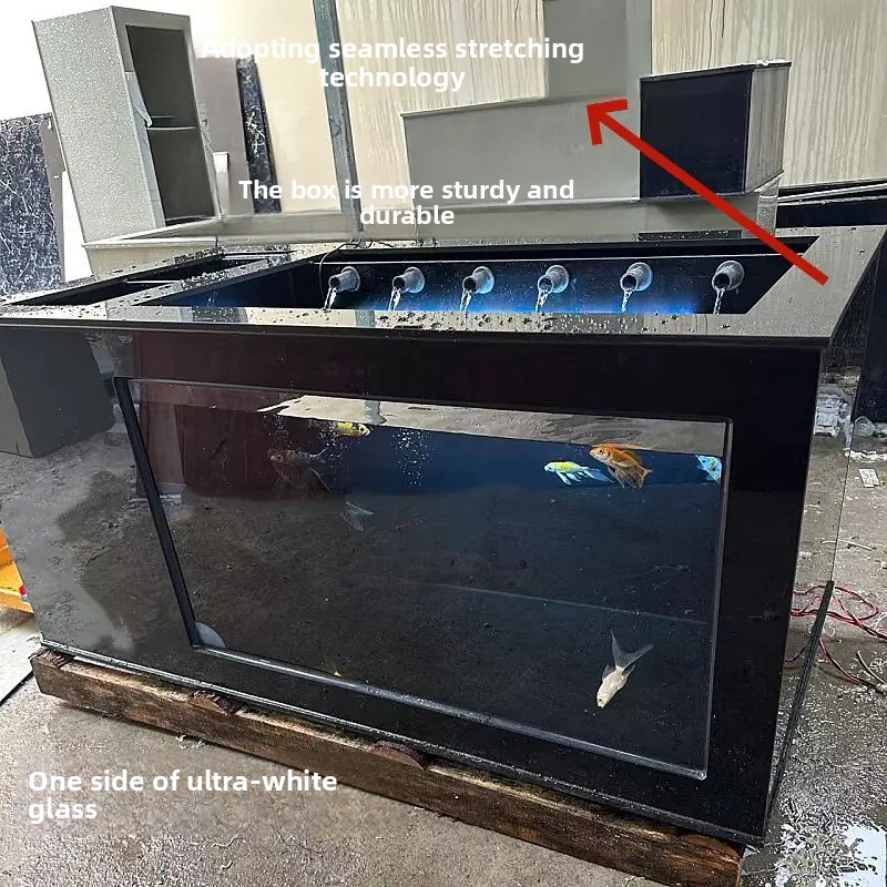 Akwarium XL z bocznym filtrem, – Xl Aquarium Fish recenzja i cena