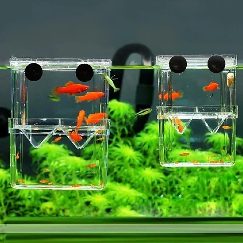Przezroczysty Akwarium dla Ryb – Aquarium Fish Jar recenzja i cena