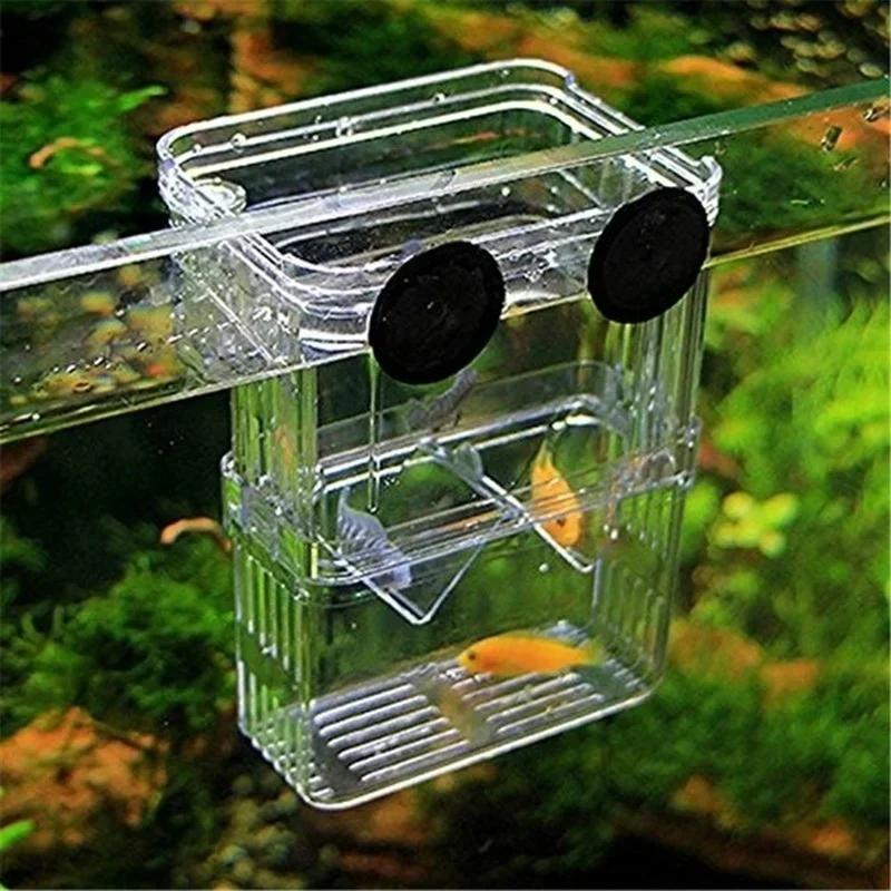Przezroczysty Akwarium dla Ryb – Aquarium Fish Jar recenzja i cena