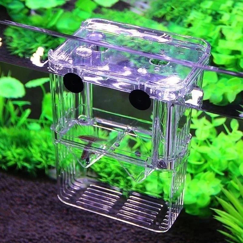 Przezroczysty Akwarium dla Ryb – Aquarium Fish Jar recenzja i cena