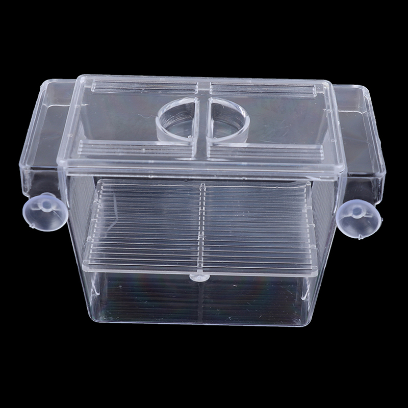 Akwarium Guppy Double Breeding – Aquarium Fish Jar recenzja i cena