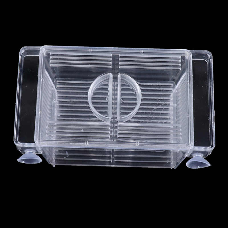 Akwarium Guppy Double Breeding – Aquarium Fish Jar recenzja i cena