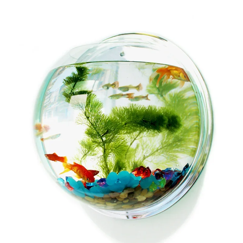 Pinsjar Akrylowa miska na ryby – Aquarium Fish Jar recenzja i cena
