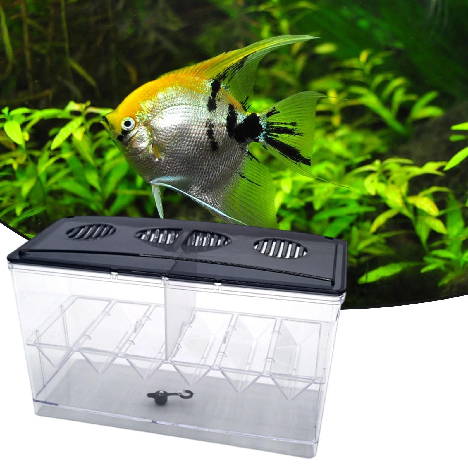Pływające pudełko izolacyjne d – Aquarium Fish Jar recenzja i cena