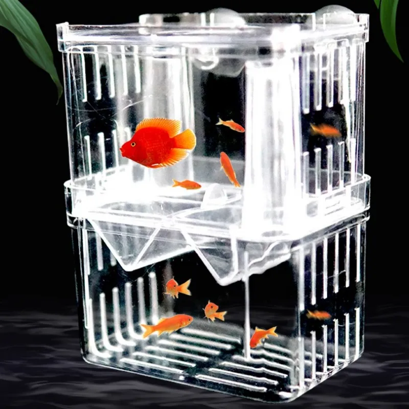 Pojemnik izolacyjny do hodowli – Xl Aquarium Fish recenzja i cena