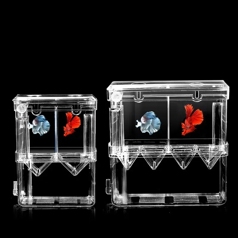Pojemnik izolacyjny do hodowli – Xl Aquarium Fish recenzja i cena