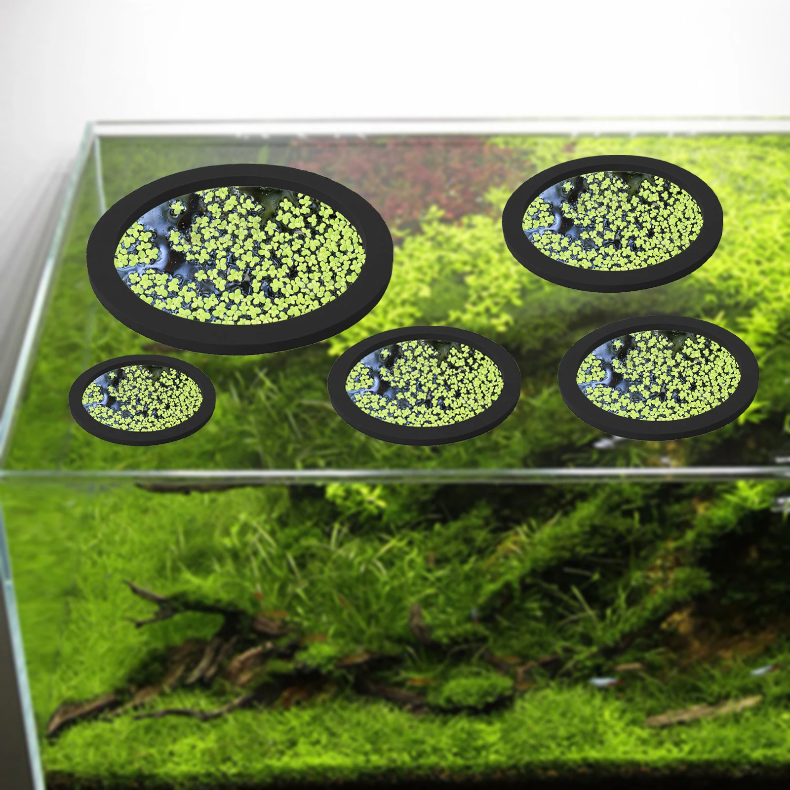 5Pcs EVA Pierścień do karmieni – Aquarium Fish Marine recenzja i cena