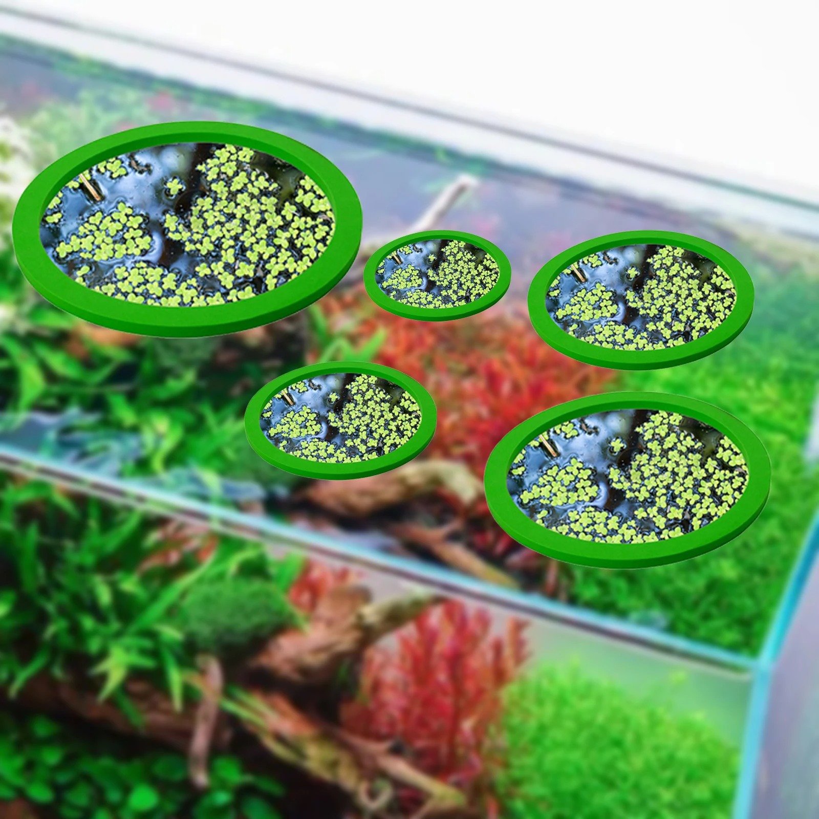 5Pcs EVA Pierścień do karmieni – Aquarium Fish Marine recenzja i cena