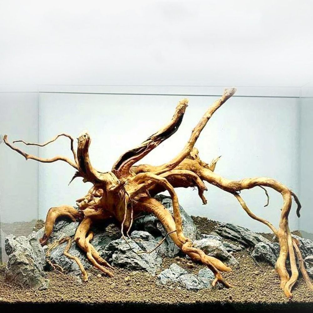 Drewno do akwarium 20-25 cm, n – Aquarium Fish Jar recenzja i cena