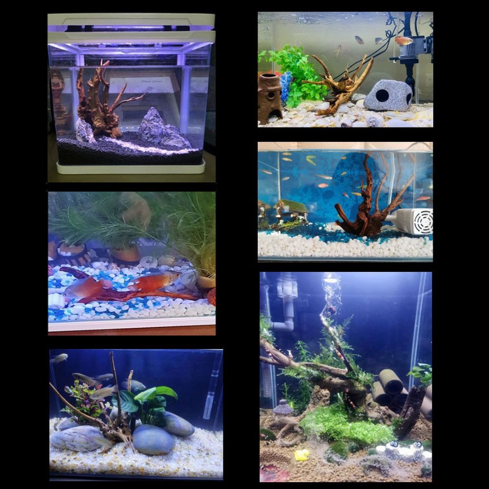 Drewno do akwarium 20-25 cm, n – Aquarium Fish Jar recenzja i cena