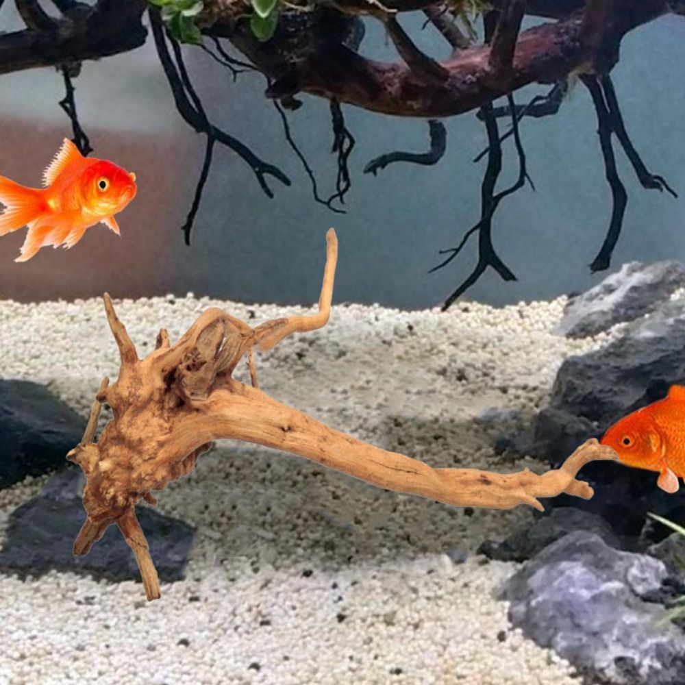 Drewno do akwarium 20-25 cm, n – Aquarium Fish Jar recenzja i cena