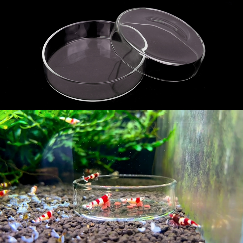 Miseczka do karmienia krewetek – Aquarium Fish Jar recenzja i cena