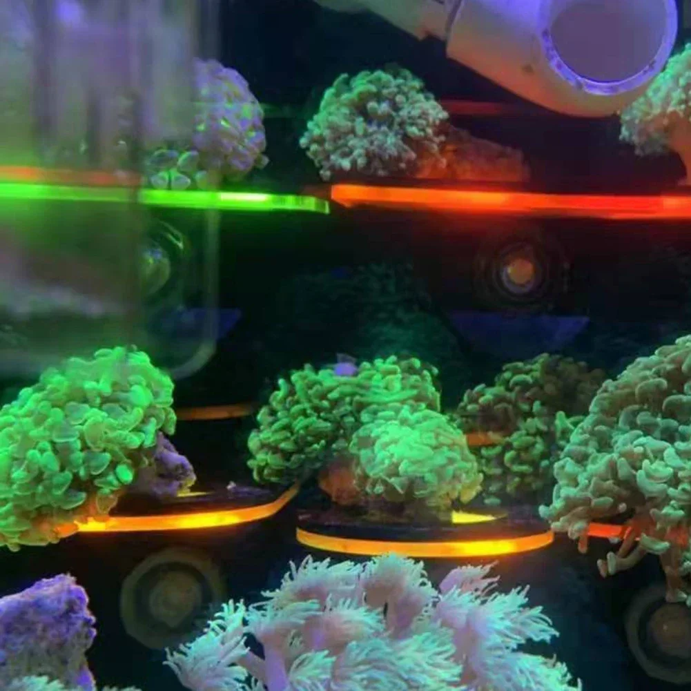 Uchwyty akrylowe do akwariów,  – Aquarium Fish Marine recenzja i cena