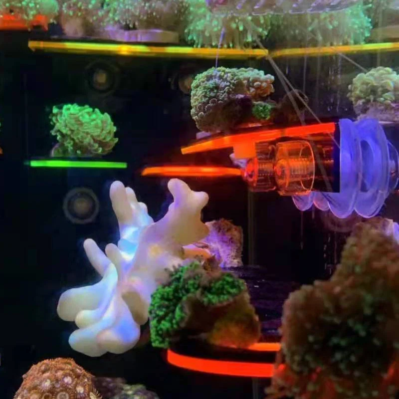 Uchwyty akrylowe do akwariów,  – Aquarium Fish Marine recenzja i cena
