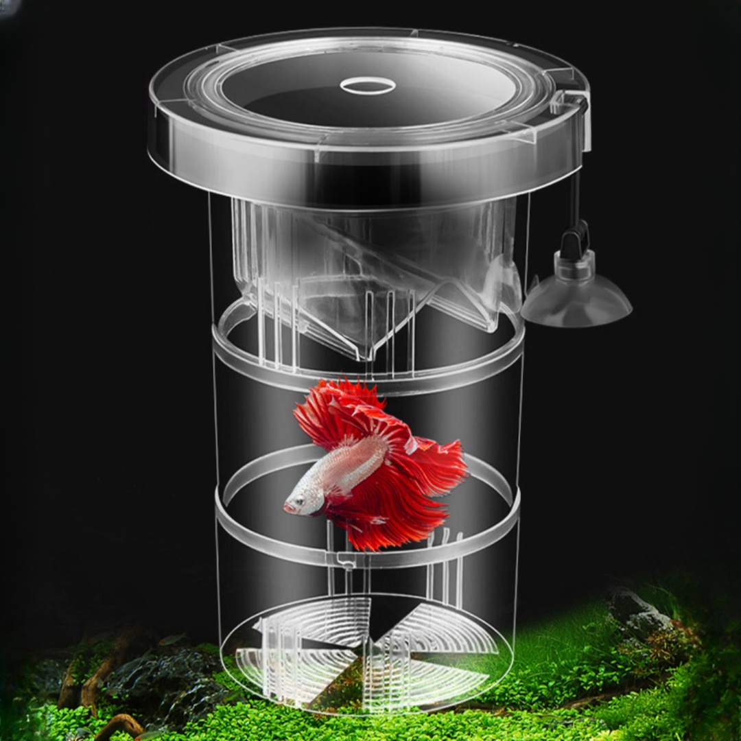 Akrylowe pudełko izolacyjne do – Aquarium Fish Jar recenzja i cena