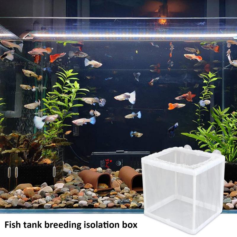 Pudełko do hodowli ryb z zasys – Aquarium Fish Jar recenzja i cena