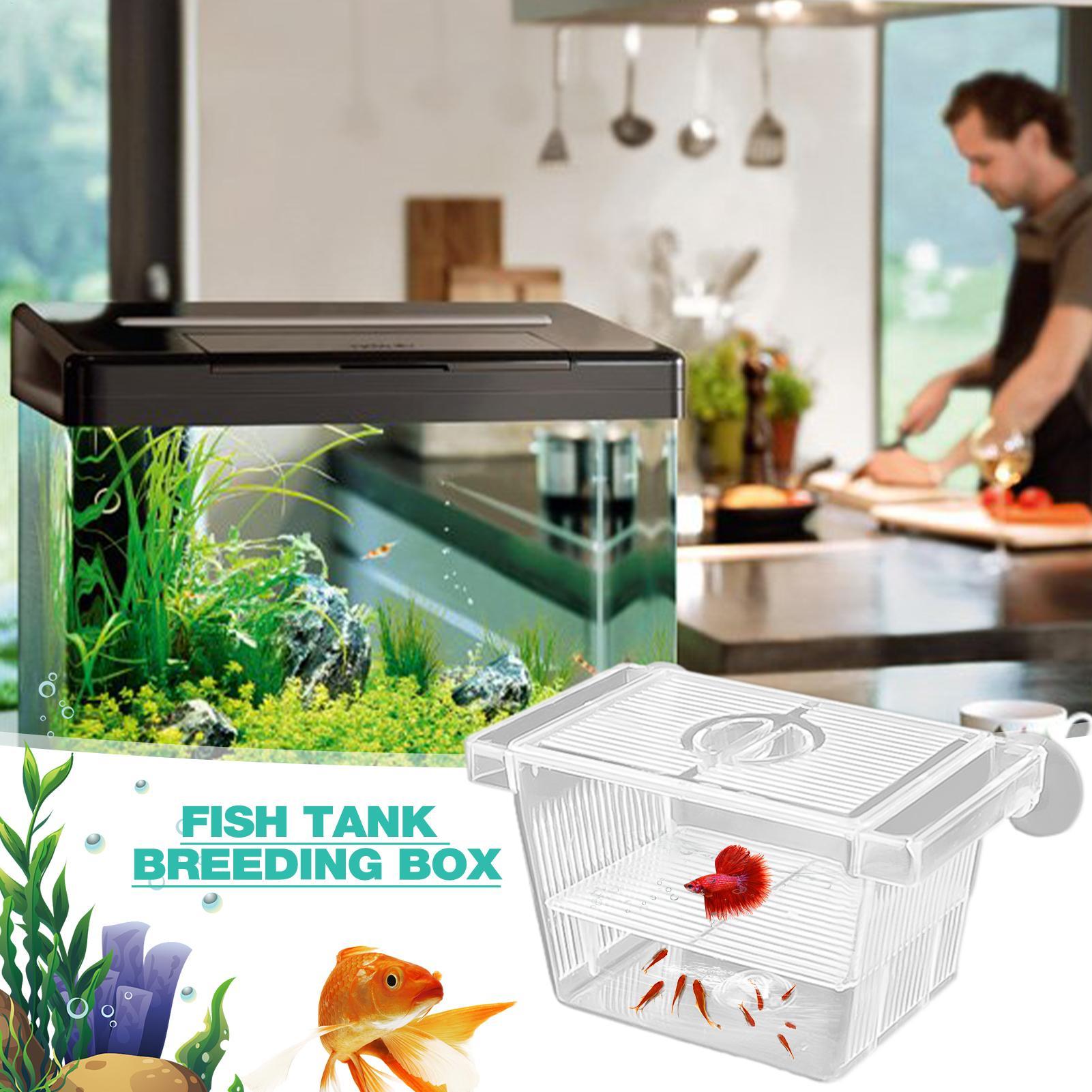 Akrylowa skrzynka izolacyjna d – Aquarium Fish Jar recenzja i cena
