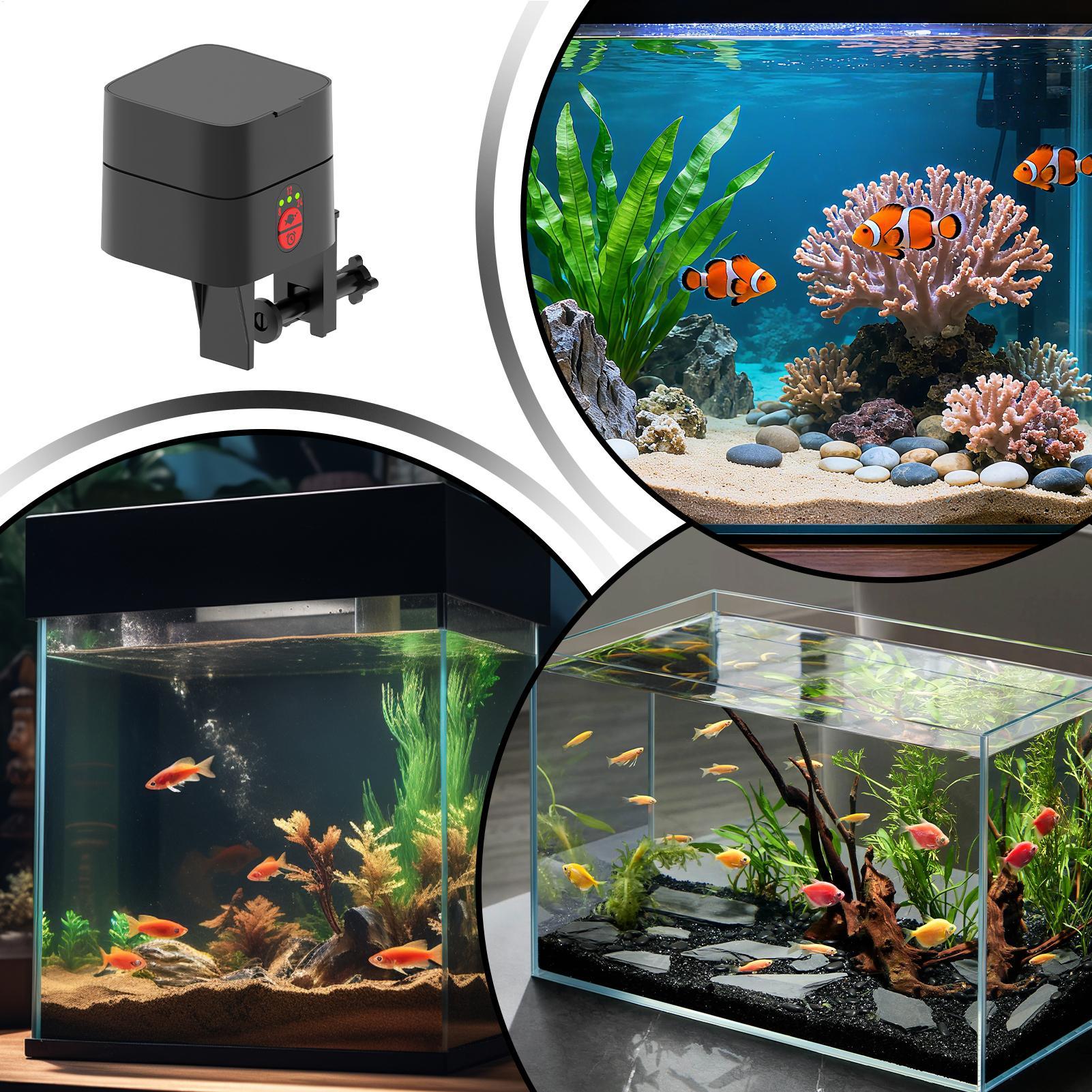 Automatyczny podajnik karmy dl – Aquarium Fish Jar recenzja i cena